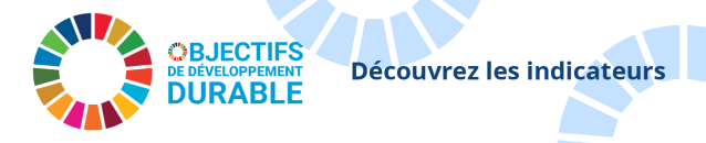 Indicateurs pour le suivi national des objectifs de développement durable